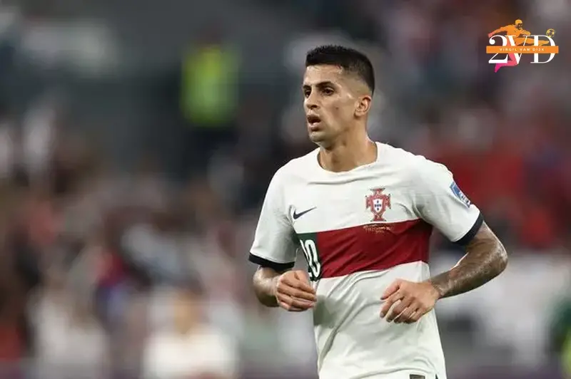 top 5 defenders in the world 202 2025 where does van dijk stand 690c189d70d82