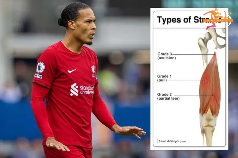 van dijk injury update 690c189273cca