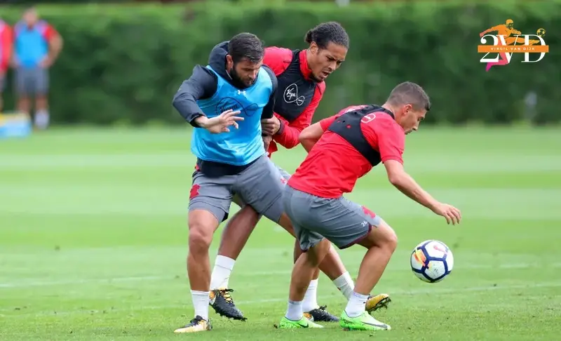 The Holistic Blueprint of a Modern Defender