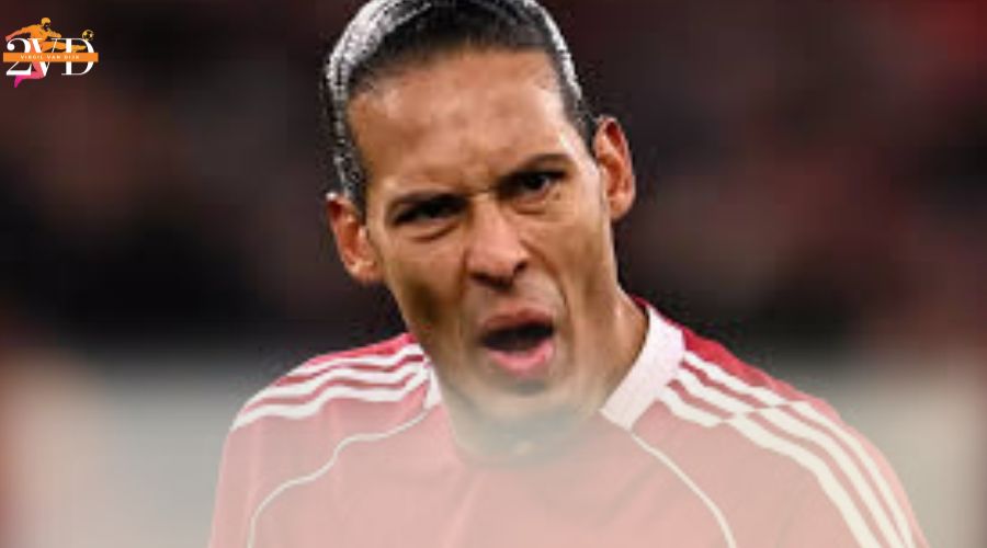 Virgil van Dijk Leadership Impact: The Standard of Accountability The Context of Criticism: Why Public Honesty MattersThe Context of Criticism: Why Public Honesty Matters
